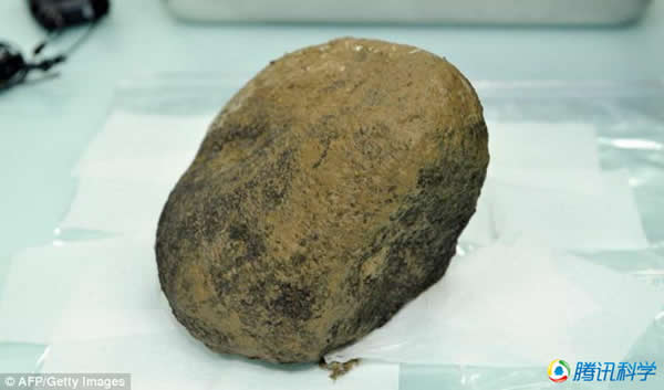 自从当地一位温室农夫发现一块9公斤重的陨石之后,便在温室设置禁止入内的标识。图中是这块9公斤重的陨石。