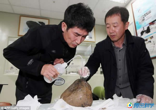 科学家证实最初找到的两块陨石是流星雨之后两天发现的,来自于太空。