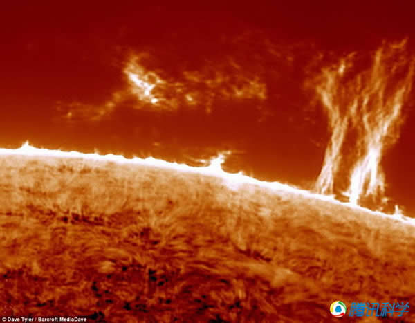 Ӣ����Ѯ���İ��������Լһ�԰����׳�۵�̫��ҫ��