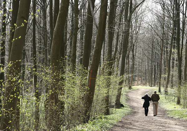 ȫ��10���������ù���