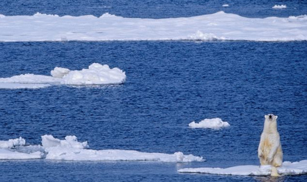 ����ʯ�;�ͷƸ�뱱���ܹ۲�Ա н�ʸߴ�40��Ӣ��