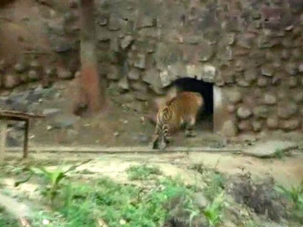 狒狒动物园第一集到最后一集 1_201403271337161ws6O.jpg