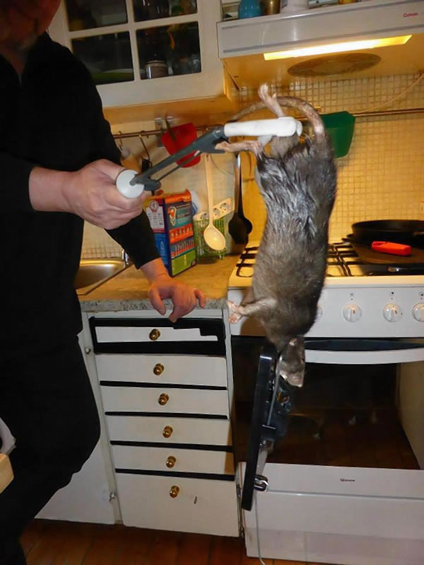 ���һ���˼Ұ�è��������� ���˲鿴����38���ִ�����