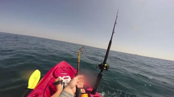 美国大学生出海垂钓钓到鲨鱼 遭拖行2小时