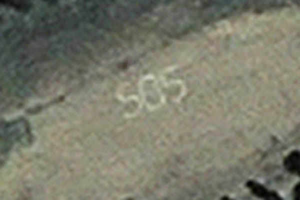 Ӣ��Ů�ӻĵ�Ư��7�꿿Google Earth��ȣ�