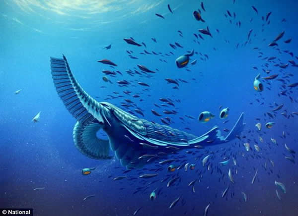格陵兰岛北部发现的5.2亿年前巨型海洋生物的复原图