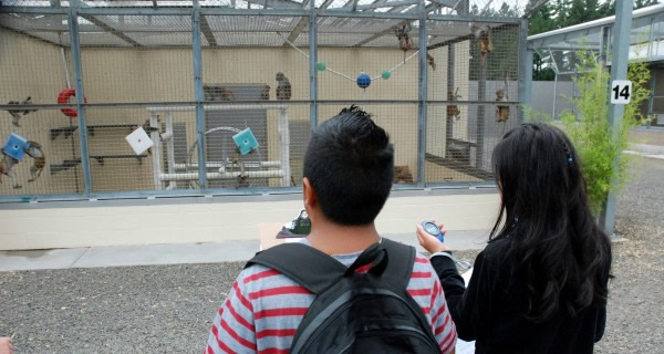 ѧ���ڹ۲���ոԽ������ѧ��ѧ�Ķ����о�