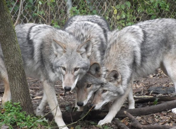 �Ǻͽ��ǵĺ����ʲô��