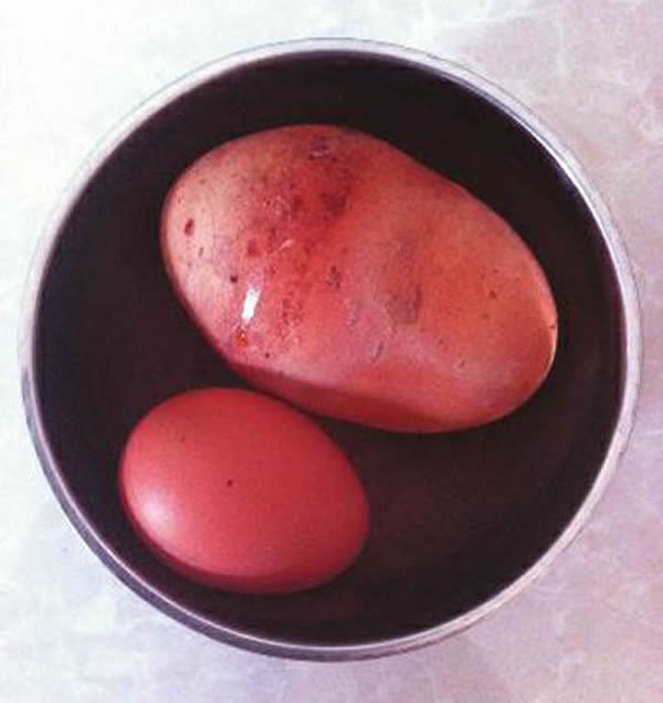 �޵������������Ա�