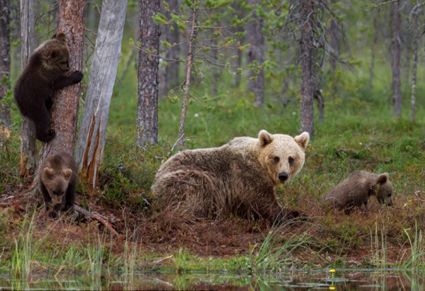 �����������Ľ���ֻ�ܱ�������