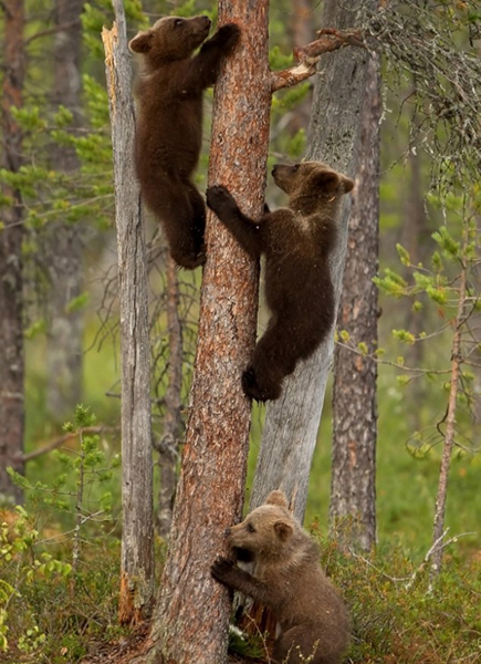 �����������Ľ���ֻ�ܱ�������