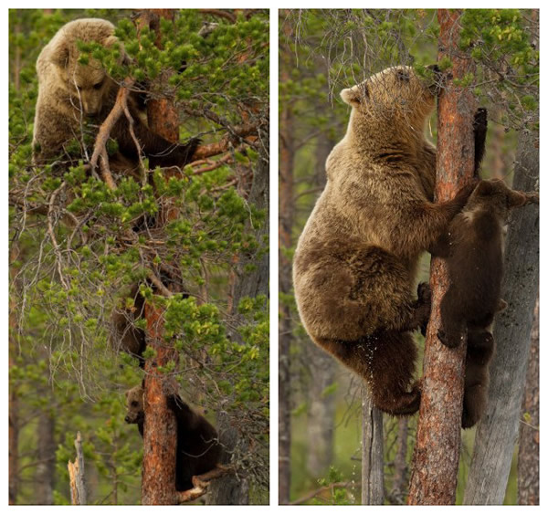 �����������Ľ���ֻ�ܱ�������