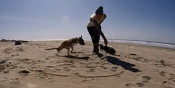 �����м�ȭʨȮ���������ܻ����