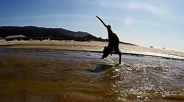 �����м�ȭʨȮ���������ܻ����