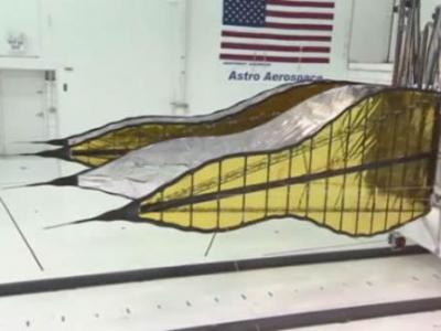 南美洲史前巨鸟:恐鹤 - 神秘的地球 科学|自然|地