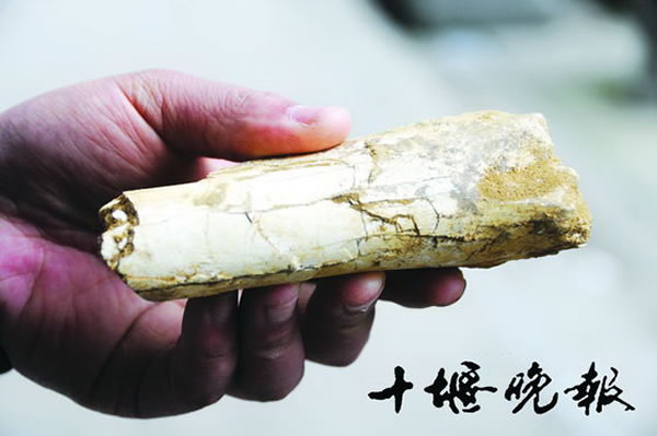 ���������������ְ�����ǰ���ﻯʯȺ