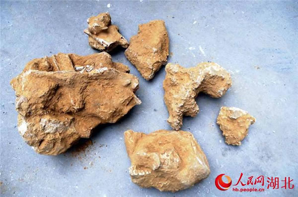 ���������������ְ�����ǰ���ﻯʯȺ