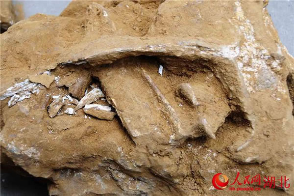 ���������������ְ�����ǰ���ﻯʯȺ