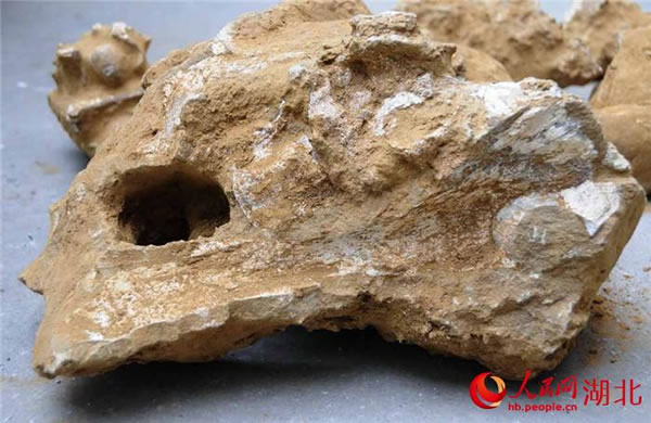 ���������������ְ�����ǰ���ﻯʯȺ