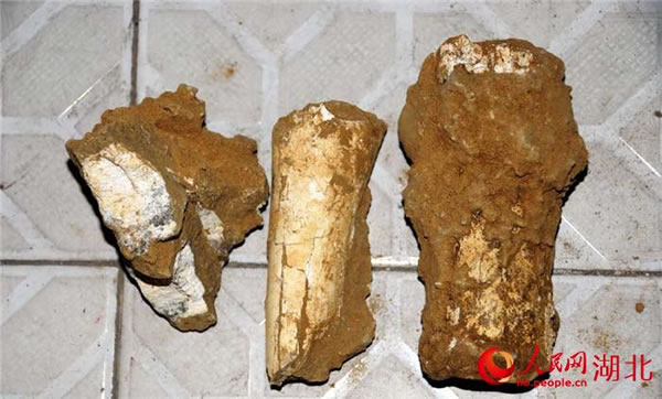 ���������������ְ�����ǰ���ﻯʯȺ