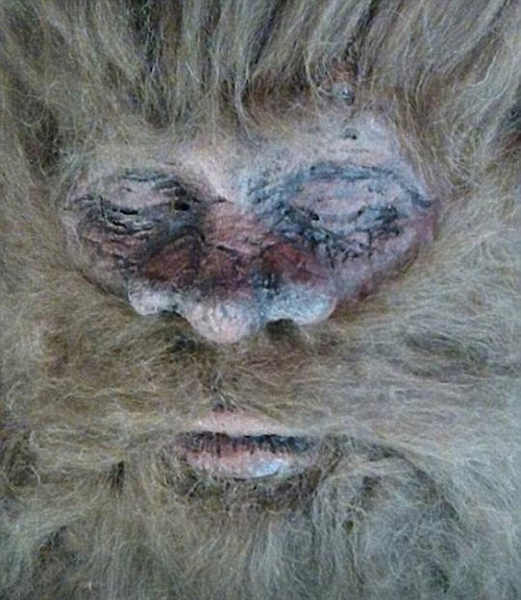 美国男子伪造“大脚怪”巡展谋利