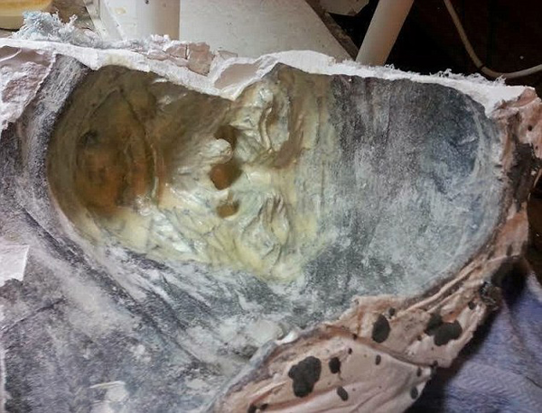 美国男子伪造“大脚怪”巡展谋利