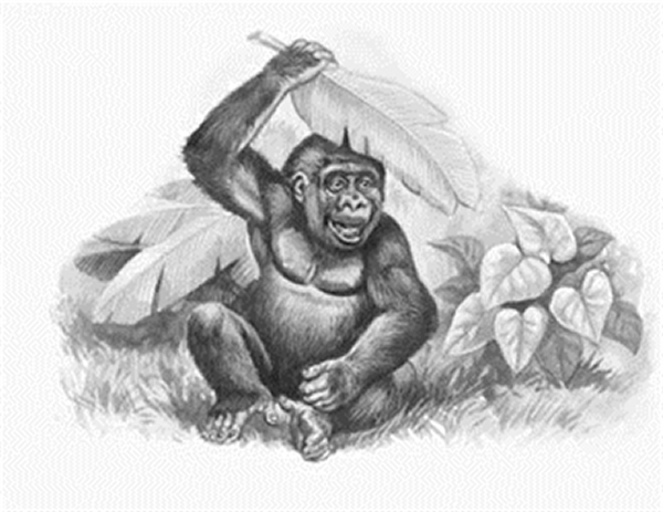 东刚果的僰猿乐园