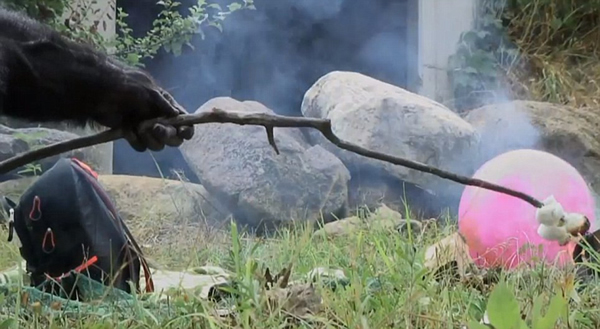 Ӣ���㲥��˾��¼Ƭ��������չ���鳤�ද����Ȥ����Ϊ