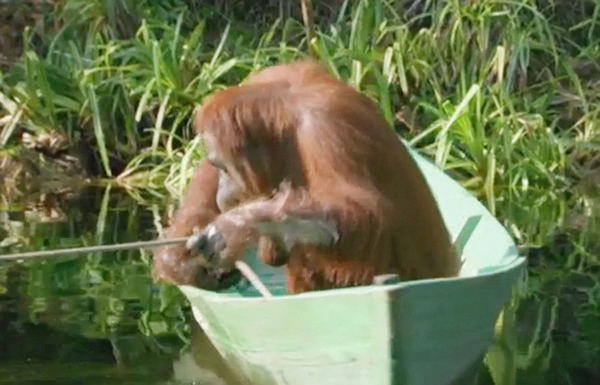 Ӣ���㲥��˾��¼Ƭ��������չ���鳤�ද����Ȥ����Ϊ