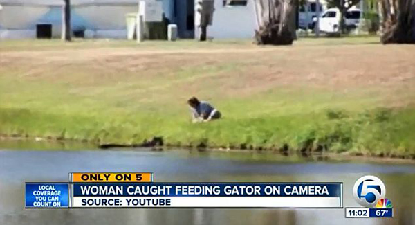 �������������Ů�ӽ�����ιʳ����������Ƶ�����ϴں�