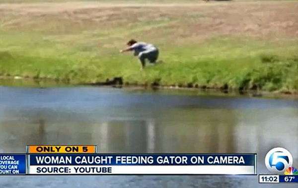 �������������Ů�ӽ�����ιʳ����������Ƶ�����ϴں�