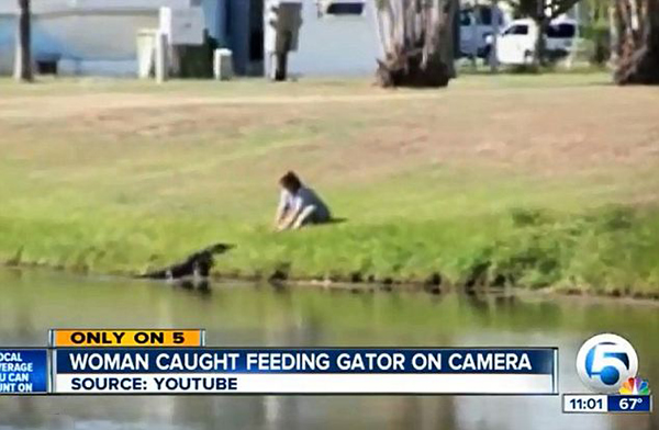 �������������Ů�ӽ�����ιʳ����������Ƶ�����ϴں�