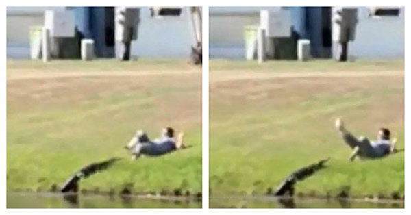 �������������Ů�ӽ�����ιʳ����������Ƶ�����ϴں�