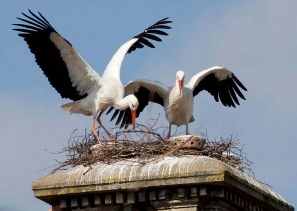 600��һ���澰��Ӣ�������̴Ѿ���һ��������