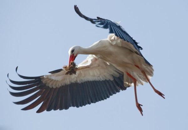 600��һ���澰��Ӣ�������̴Ѿ���һ��������