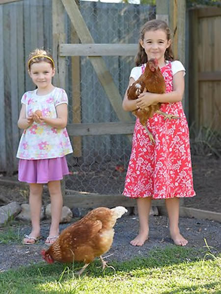 澳洲昆士兰省一个鸡蛋竟然有4个蛋黄