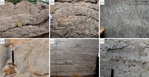 ���ֵ��͵�΢����̼�����ң���a������ʯ����b������ʯ����c����֦ʯ����d����һʯ����e������ʯ����f������ʯ