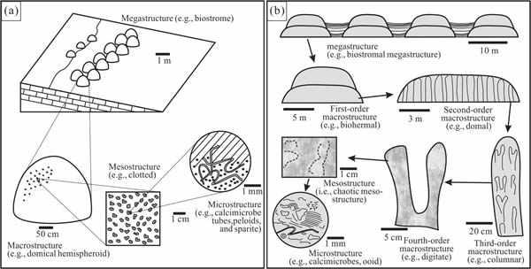 ΢�����Ҳ�ͬ�ȼ��Ĺ�������