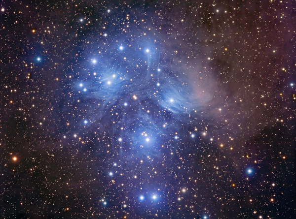 �������İ��������������ں�԰����������