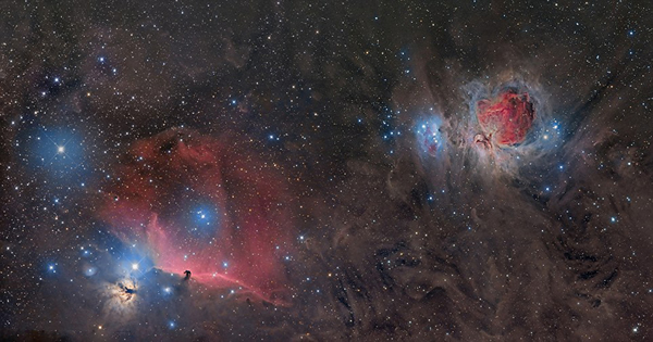 �������İ��������������ں�԰����������