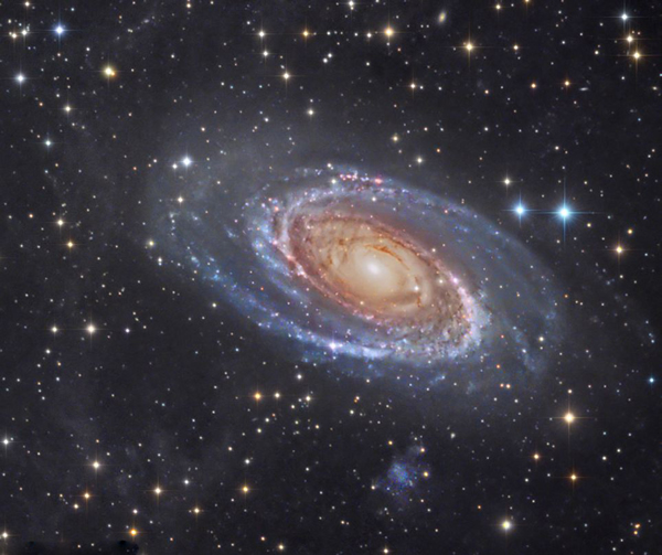 �������İ��������������ں�԰����������