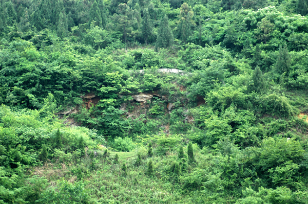 龙潭洞“和县猿人”遗址