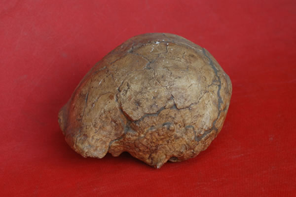 龙潭洞“和县猿人”遗址