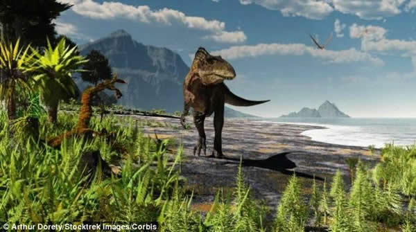 鲁卢西河遗址包含着掠食性兽角类恐龙和大型食草蜥脚类恐龙的足迹，掠食者很可能是图中的高棘龙，它们追赶着蜥脚类恐龙足迹，暗示着正在追逐猎物。