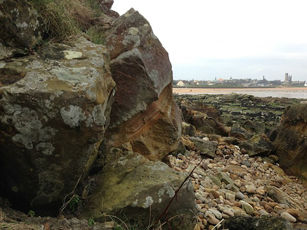化石猎人在苏格兰海滩巨石上发现诡异人脸