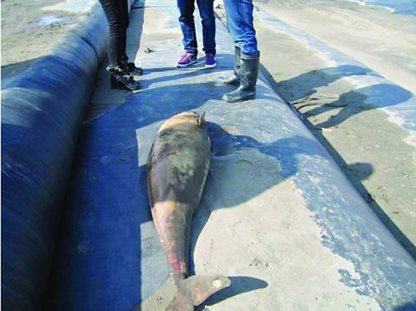 ����3�����żҸ۳����߷��ֵ���������