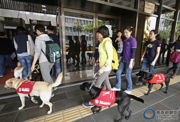 3月18日,台湾导盲犬协带狗上法院讨公道。