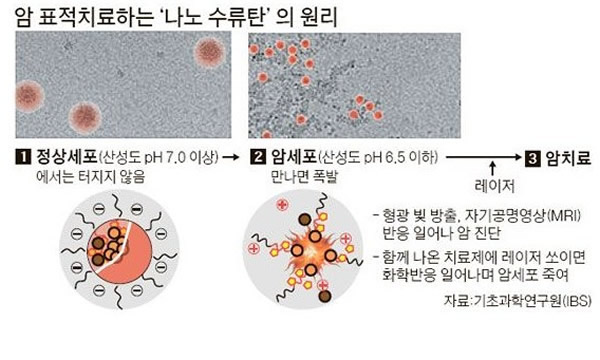 �����о��Ŷӿ�����һ�������������������ϸ���ͻ��Զ���ը�ġ��������񵯡�