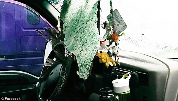 ����Ů�Ӽݳ�;�б�һֻ�����ײ�鵲�粣��