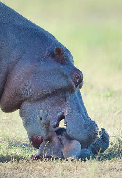 ���޲������ɺ��������ػ�����ʬ����ᰧ��